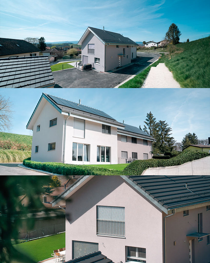 Villvert