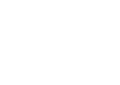 Google partner white logo